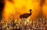 Benardo Wildlife Area Dec 2022
